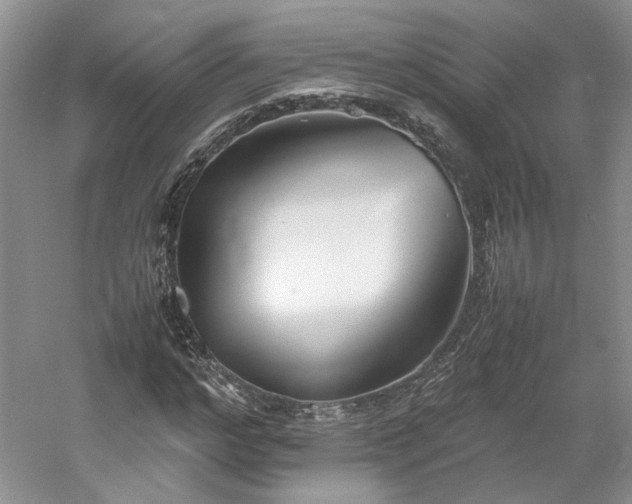 X0000061720968200512021334