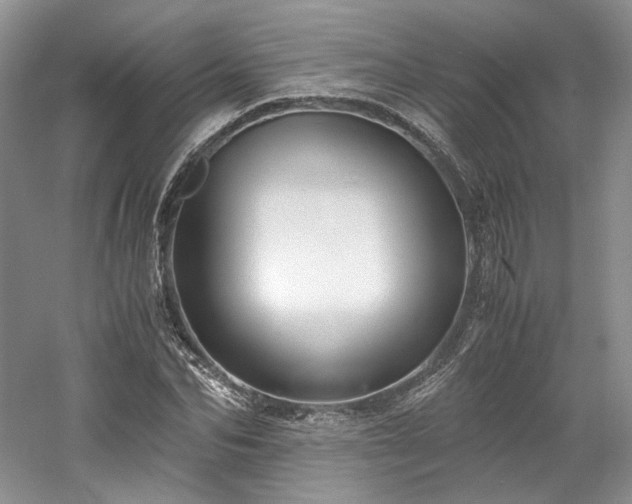 X0000061720974200512021334