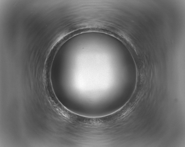 X0000061720975200512021334