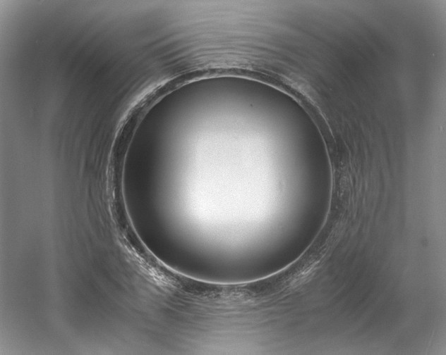 X0000061720979200512021334