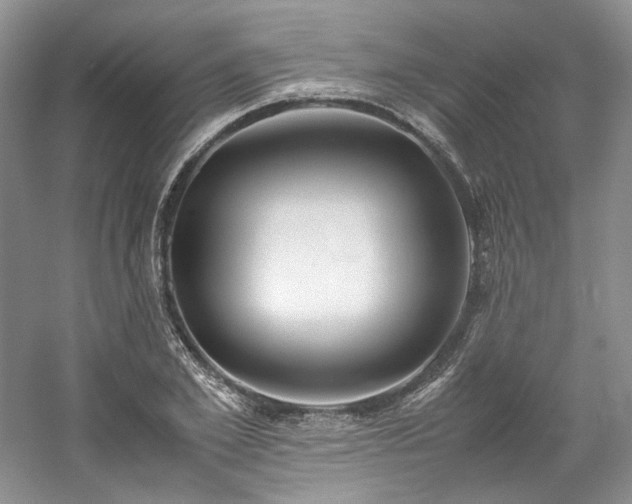 X0000061720981200512021334