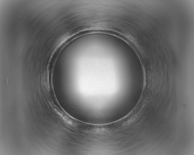 X0000061720982200512021334