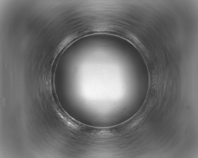 X0000061720986200512021334