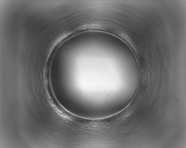 X0000061720987200512021334