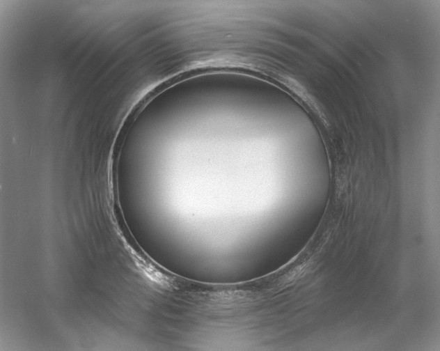 X0000061720988200512021334