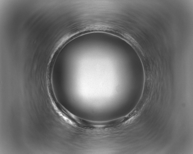 X0000061720989200512021334