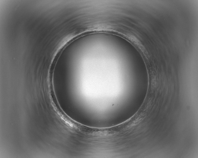 X0000061720990200512021334