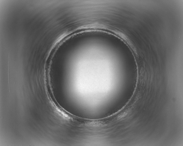 X0000061720998200512021334