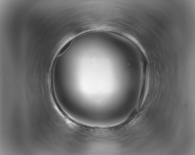 X0000061721007200512021334