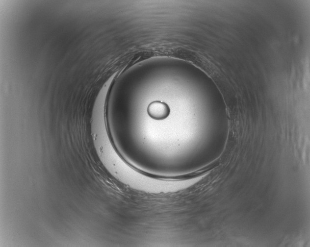 X0000061721010200512021333