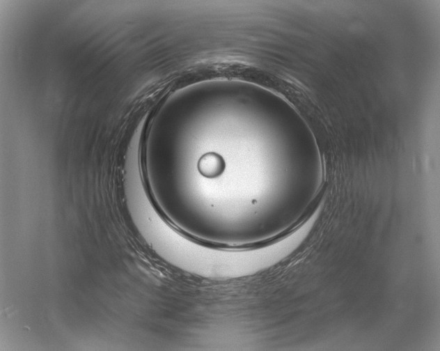 X0000061721014200512021333