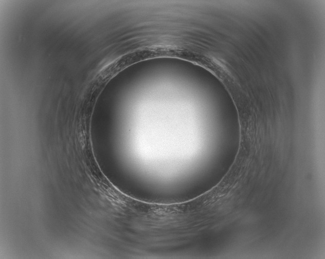 X0000061721015200512021333