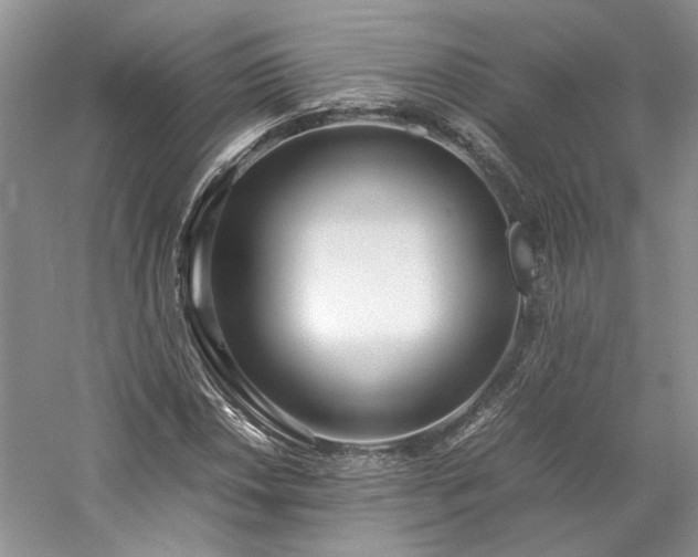 X0000061721018200512021333