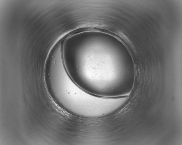 X0000061721020200512021333