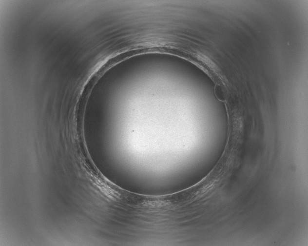X0000061721023200512021333