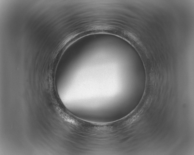 X0000061721025200512021333