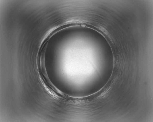 X0000061721030200512021333
