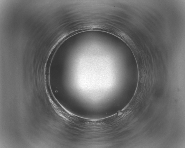 X0000061721039200512021333