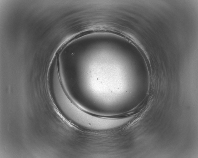 X0000061721045200512021333