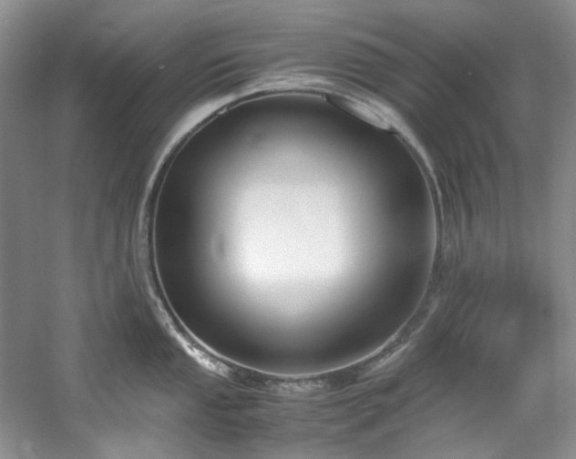 X0000061721053200512021334