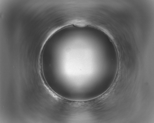 X0000061721056200512021334
