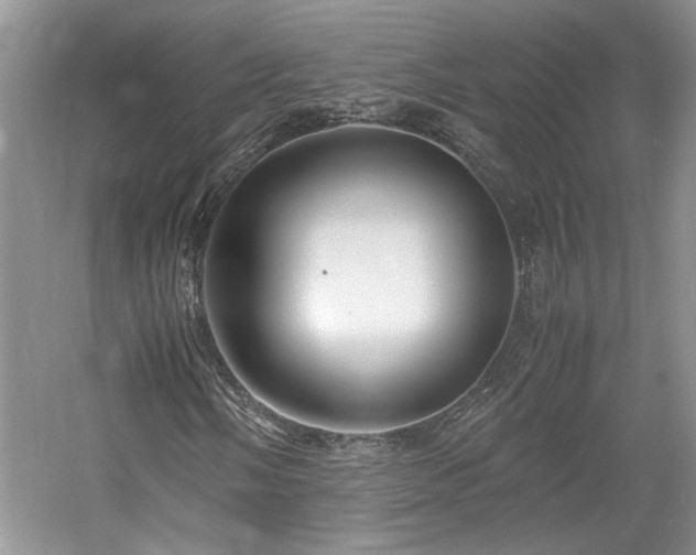 X0000061721058200512021333