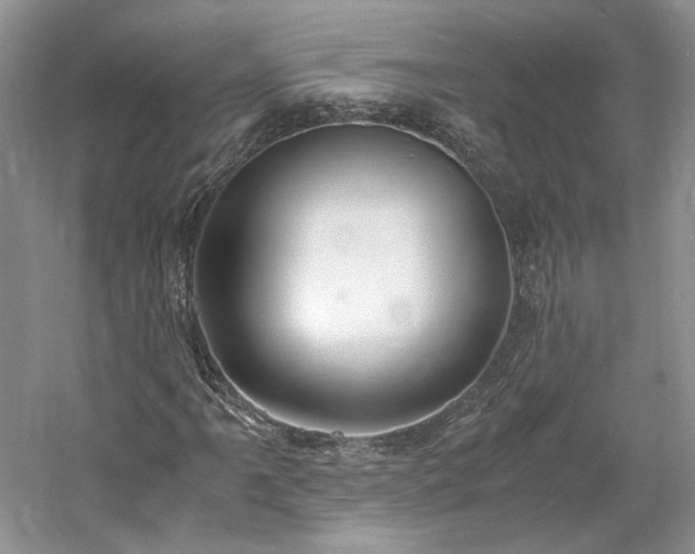X0000061721061200512021333