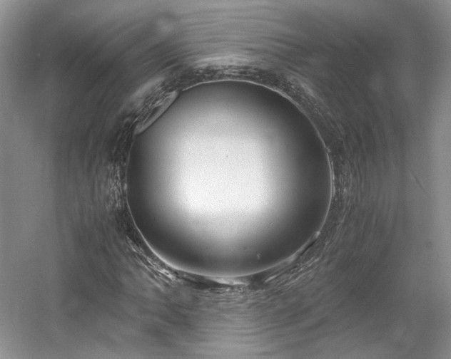 X0000061721062200512021333