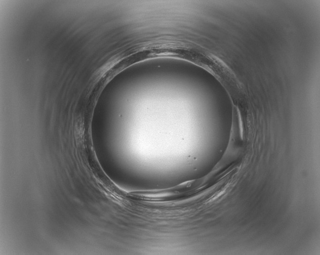 X0000061721065200512021333