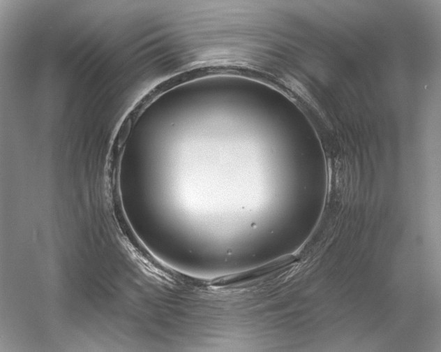 X0000061721068200512021333