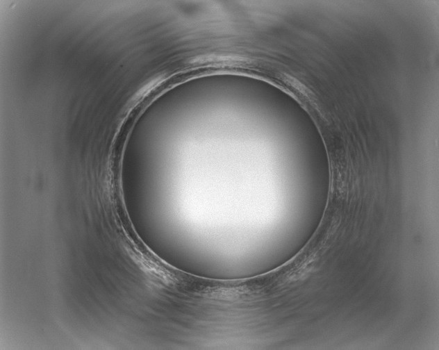 X0000061721074200512021333