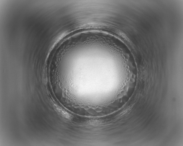 X0000061721075200512021332