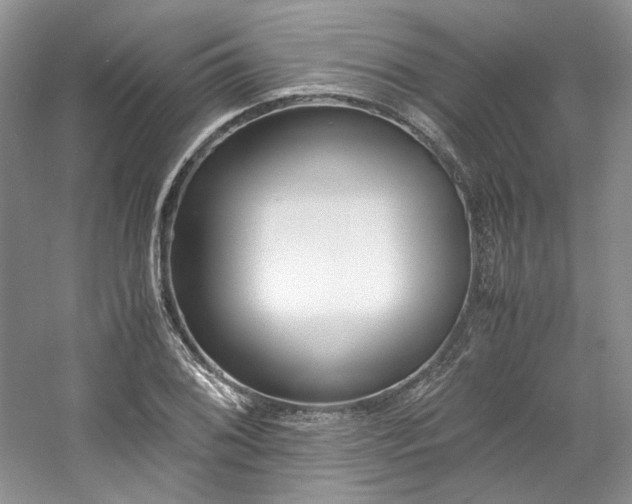 X0000061721076200512021332