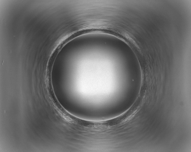 X0000061721077200512021332