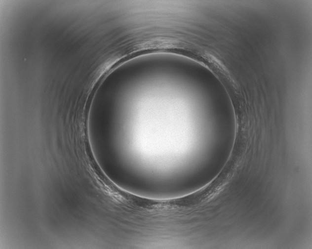 X0000061721081200512021332