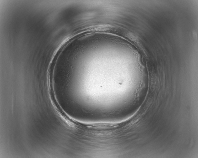 X0000061721083200512021332