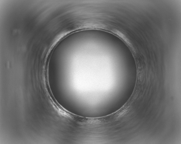 X0000061721094200512021332