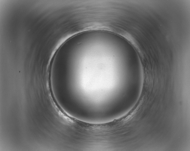 X0000061721102200512021332