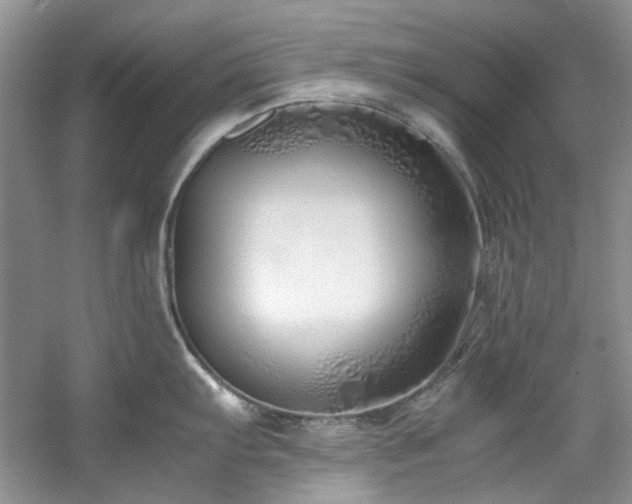 X0000061721103200512021332