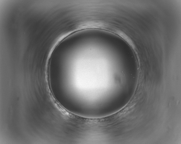 X0000061721104200512021332