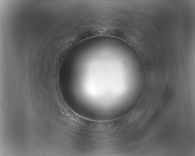 X0000061721105200512021331