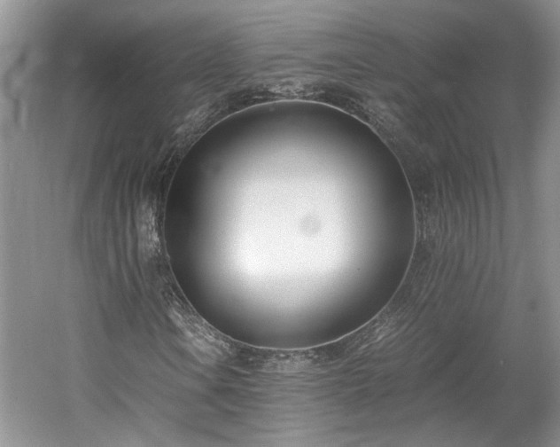 X0000061721106200512021331