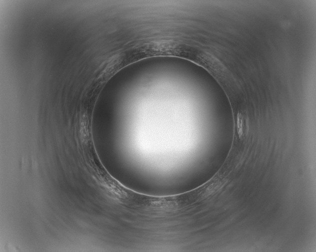 X0000061721107200512021331