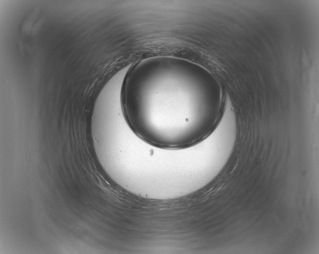 X0000061721108200512021331