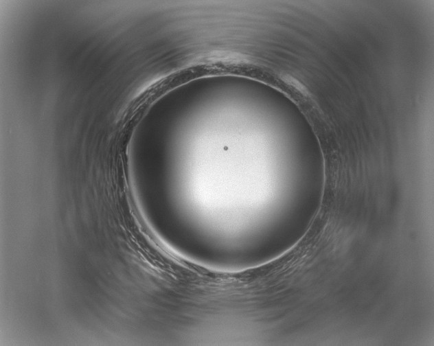 X0000061721112200512021331