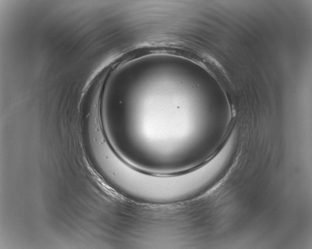 X0000061721114200512021331