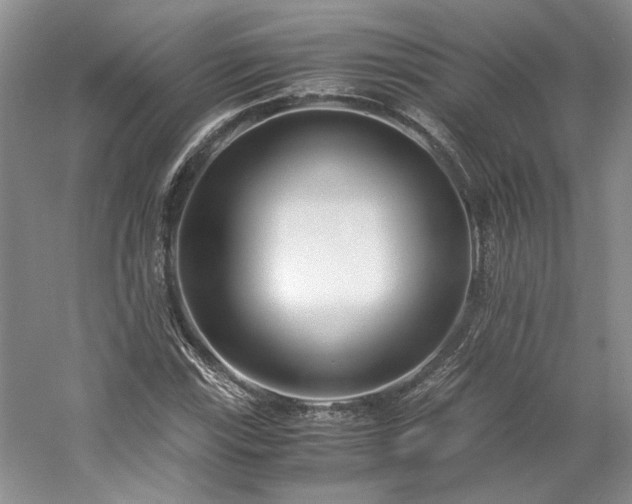 X0000061721115200512021331