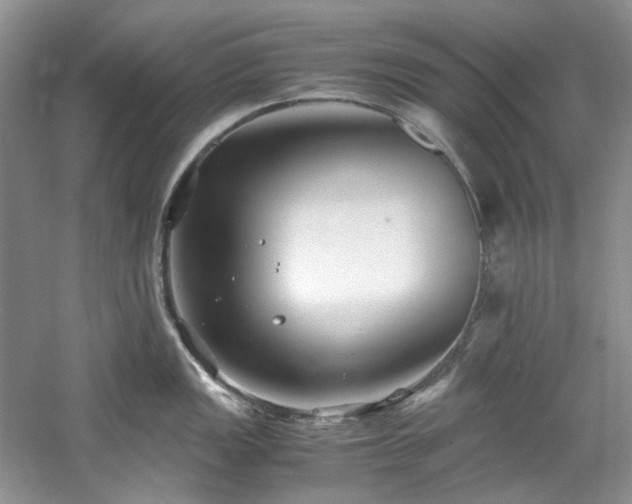 X0000061721149200512021332