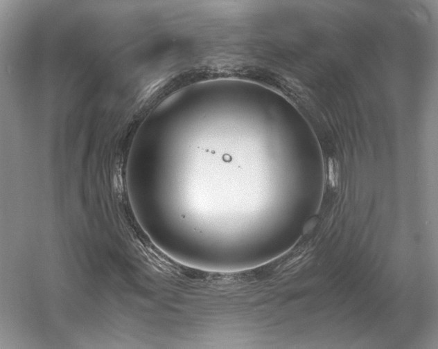 X0000061721155200512021331