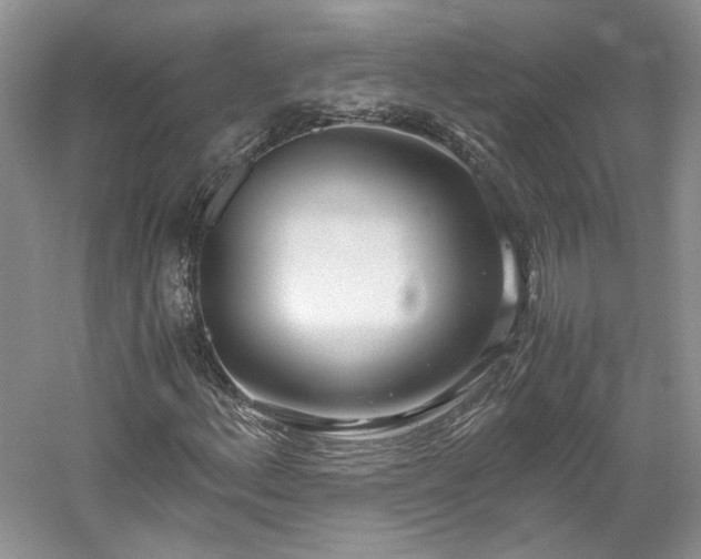 X0000061721156200512021331
